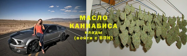 стаф Дмитров